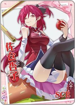 NS-16-013 Kyouko Sakura | Puella Magi Madoka Magica